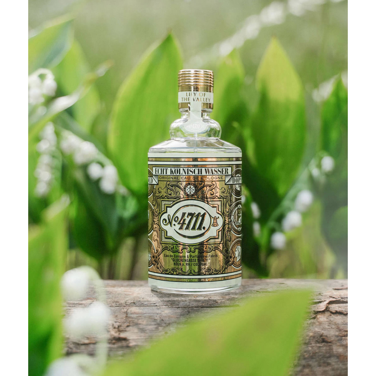 Colonia Femenina FLORAL LILY VALLEY COL 100ML SP - Imagen 3